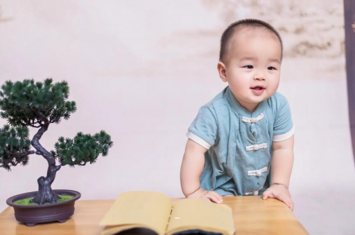 鹿邑可爱的企鹅宝宝